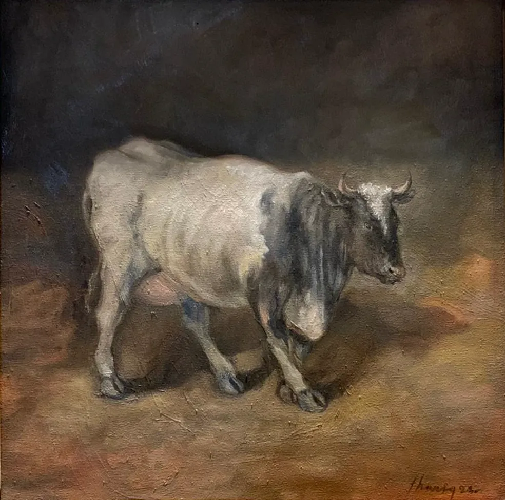 Sapi Betina