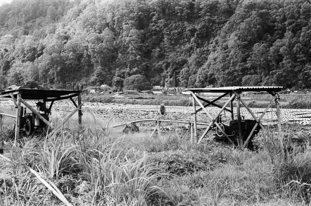KINTAMANI SERIES 2/4