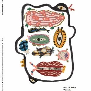 Proteus Animalcule