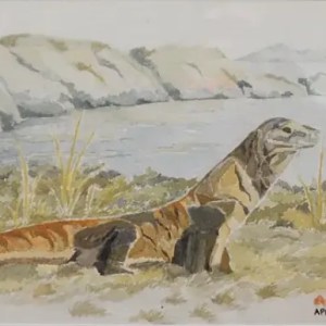 From Primal Origins to Future Power