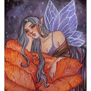 Midnight Fae