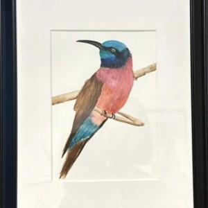Lilac- Breasted Roller