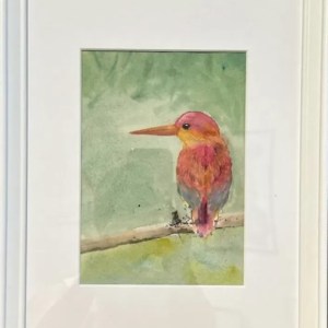 Oriental Dwarf Kingfisher