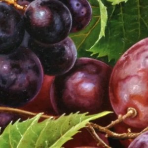 Alternative view of Bunch of Grapes