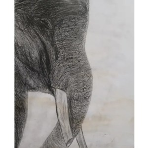 Gajah